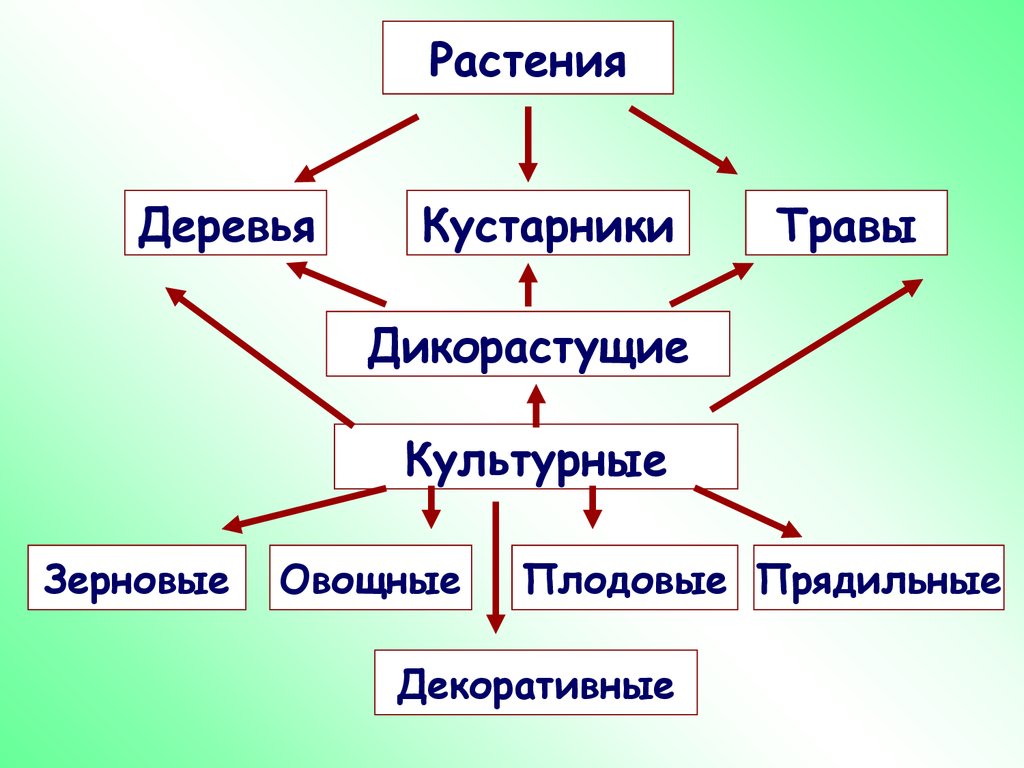 Урок-конспект по теме: 